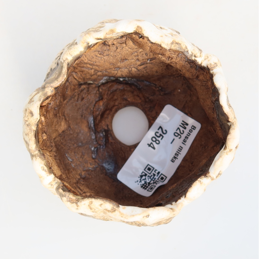 Ceramiczna skorupa  7,5 x 7 x 5 cm, kolor biało-brązowy