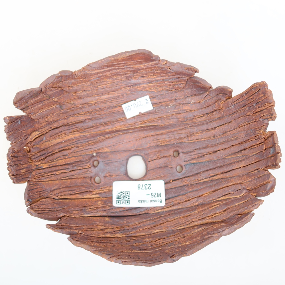 Ceramiczna skorupa  18 x 15 x 8 cm, kolor brązowy