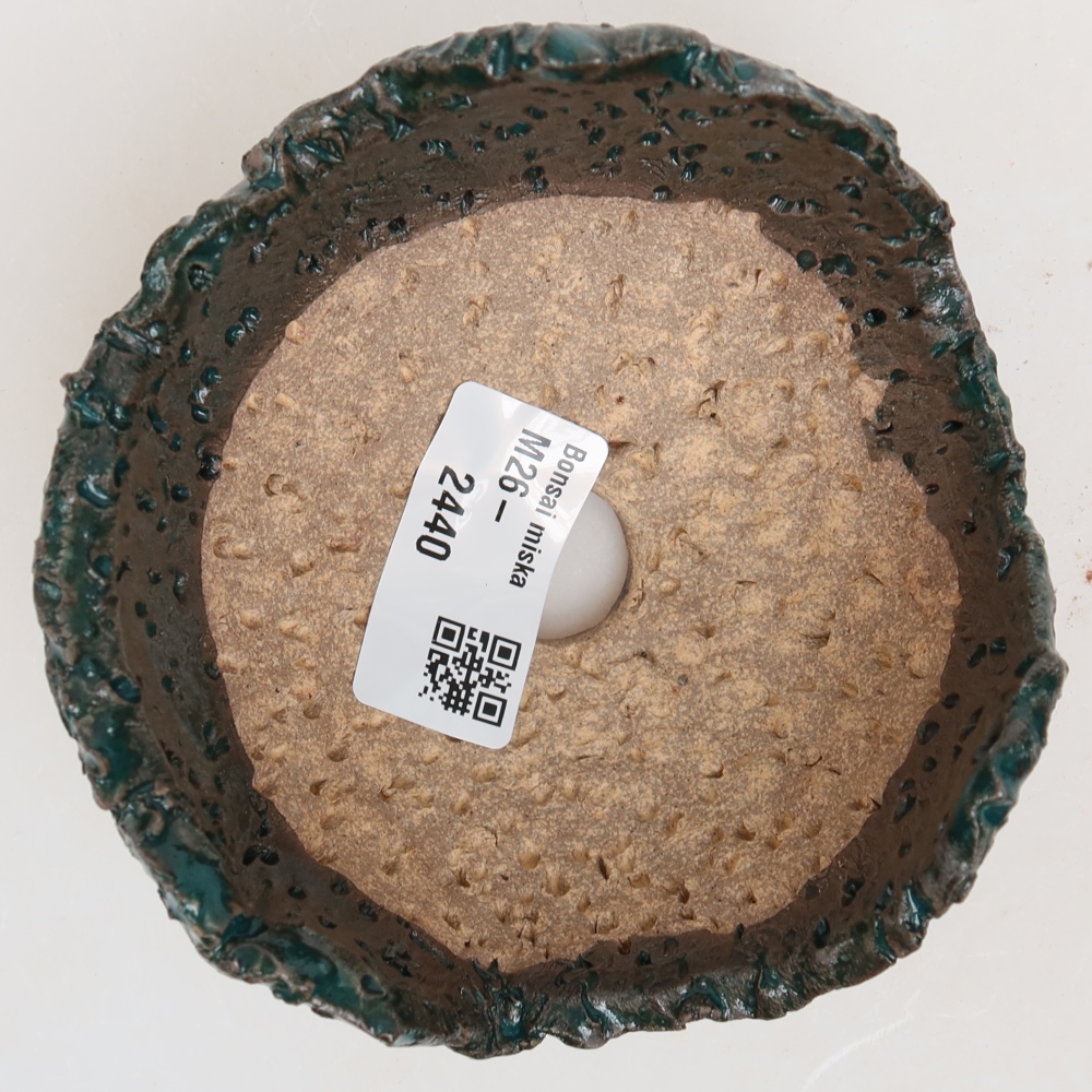 Ceramiczna skorupa  10 x 10 x 6,5 cm, kolor zielony