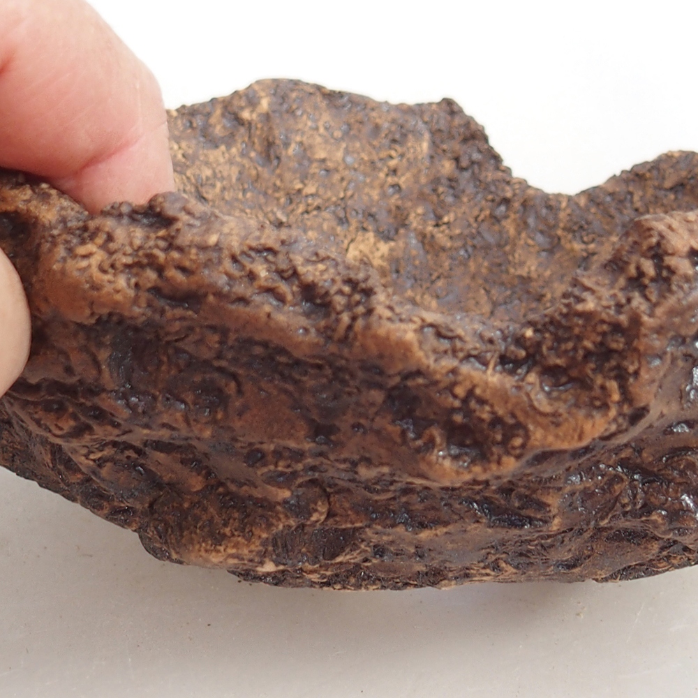 Ceramiczna skorupa 19 x 15 x 14 cm, kolor brązowy