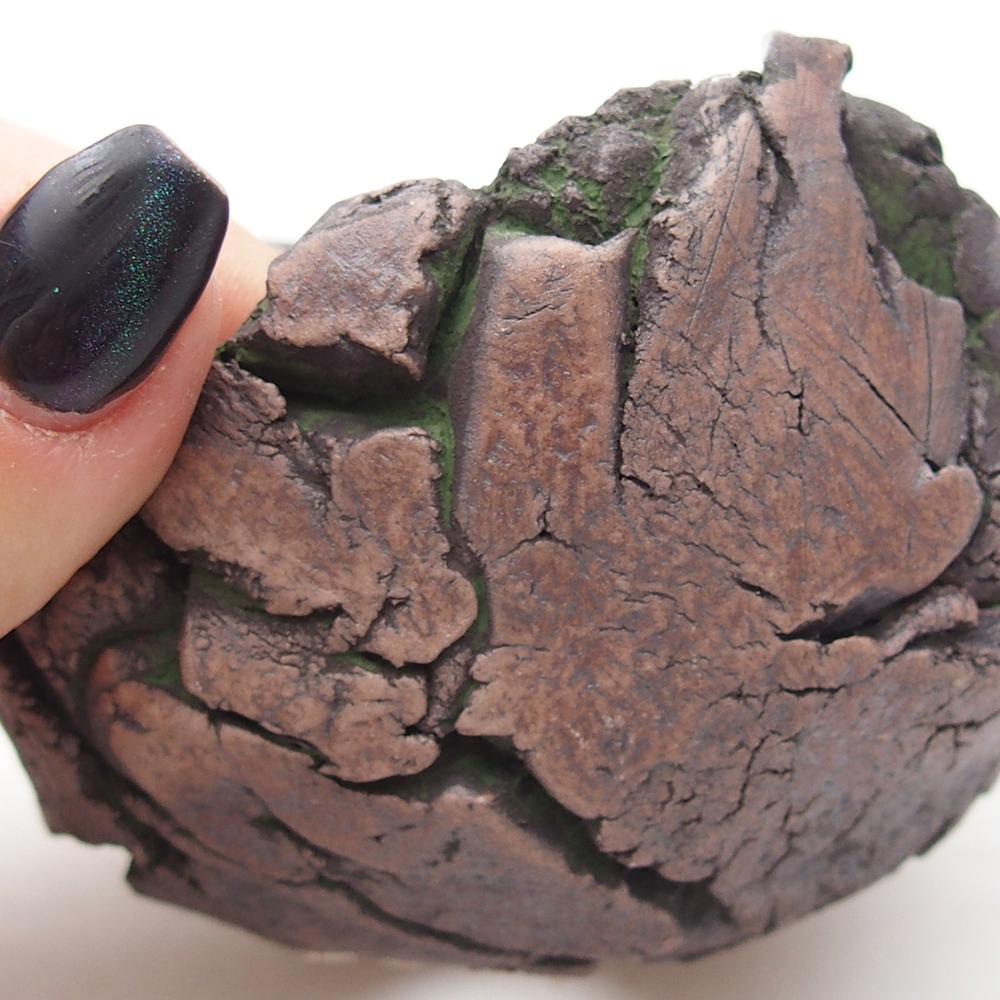 Ceramiczna muszla 9,5 x 9,5 x 6 cm, kolor zielony