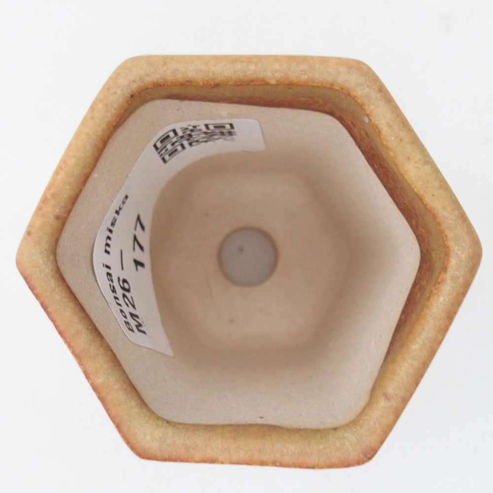 Mini miska do bonsai 5,5 x 5 x 5 cm, brązowa