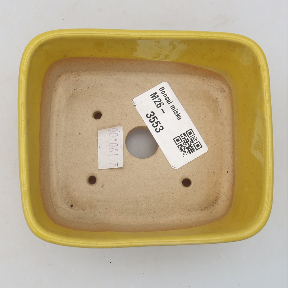Ceramiczna miska do bonsai 10,5 x 8,5 x 4 cm, kolor żółty