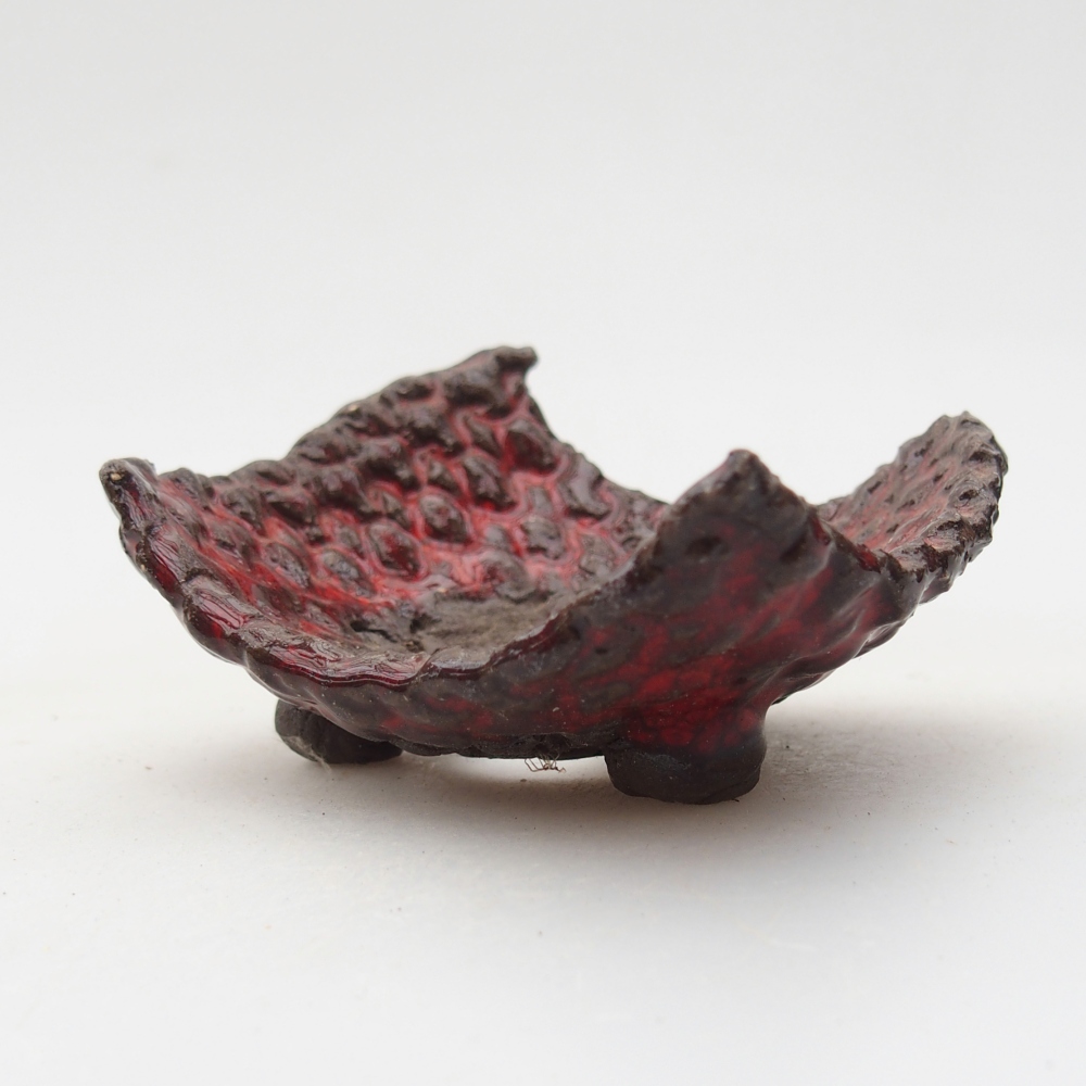 Ceramiczna muszla 7,5 x 6 x 4 cm, kolor czerwony
