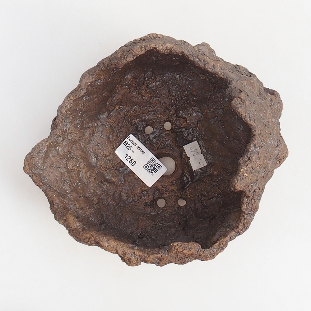 Ceramiczna skorupa 19 x 15 x 14 cm, kolor brązowy