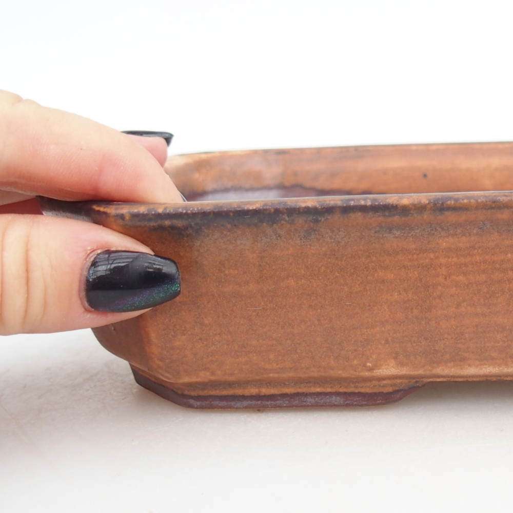 Ceramiczna miska do bonsai 18,5 x 13,5 x 4,5 cm, brązowa