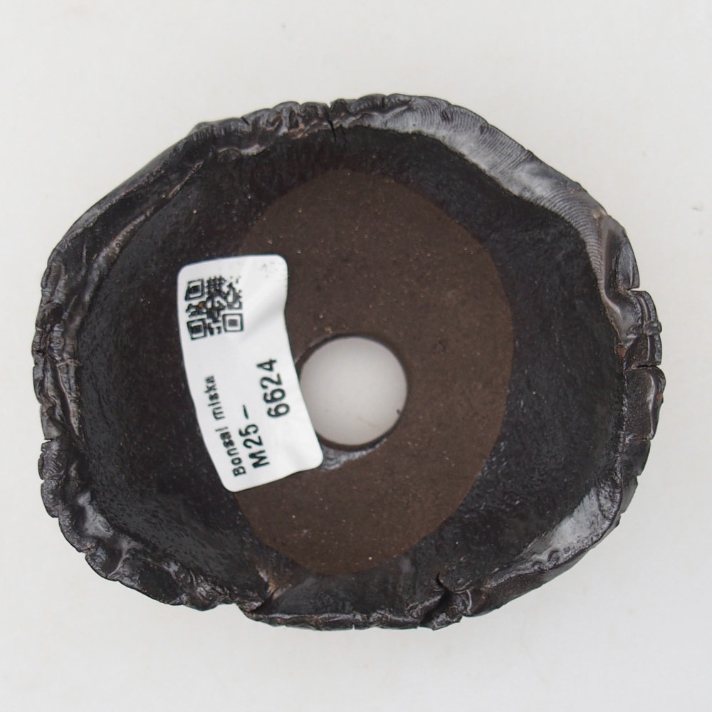 Muszla ceramiczna 9 x 8 x 5 cm, kolor czarny