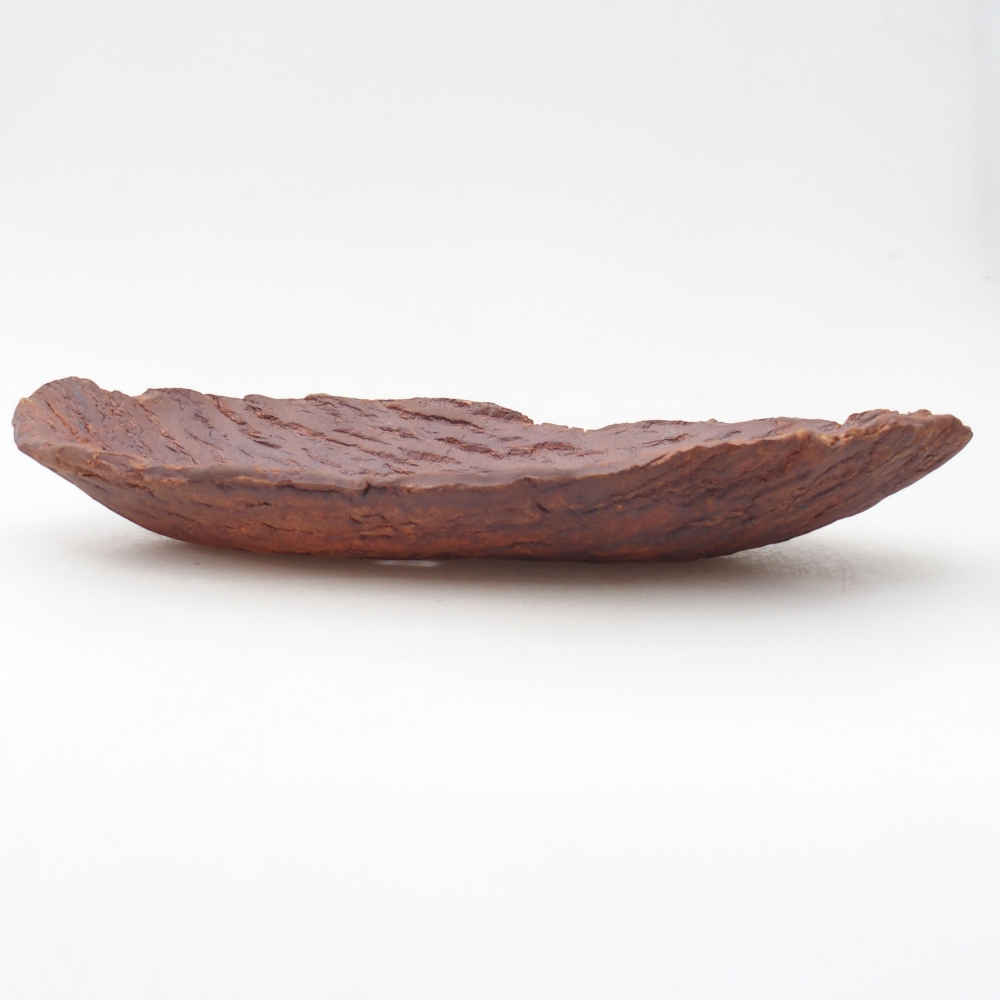 Muszla ceramiczna 30 x 18,5 x 5 cm, kolor brązowy