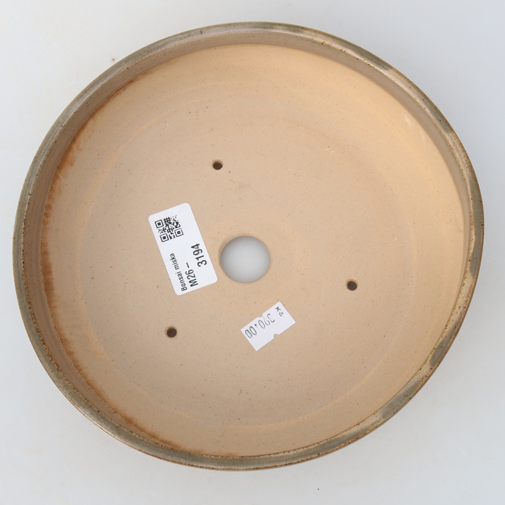 Ceramiczna miska do bonsai 19 x 19 x 5,5 cm, kolor beżowy