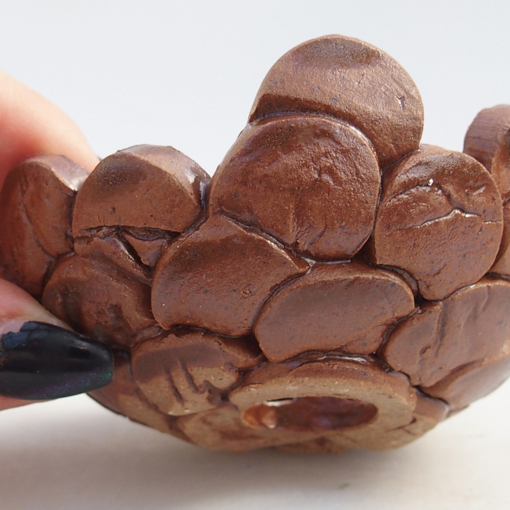 Ceramiczna muszla 8,5 x 8,5 x 4 cm, kolor brązowy