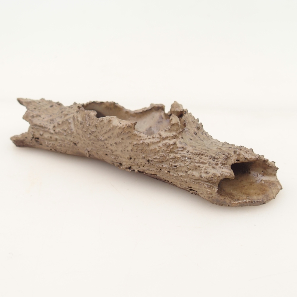 Ceramiczna muszla 15 x 5 x 3 cm, kolor beżowy