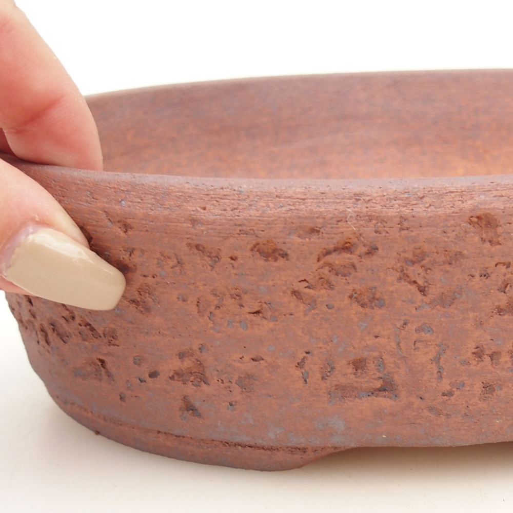 Misa do bonsai 19,5 x 16 x 6 cm, kolor metaliczny
