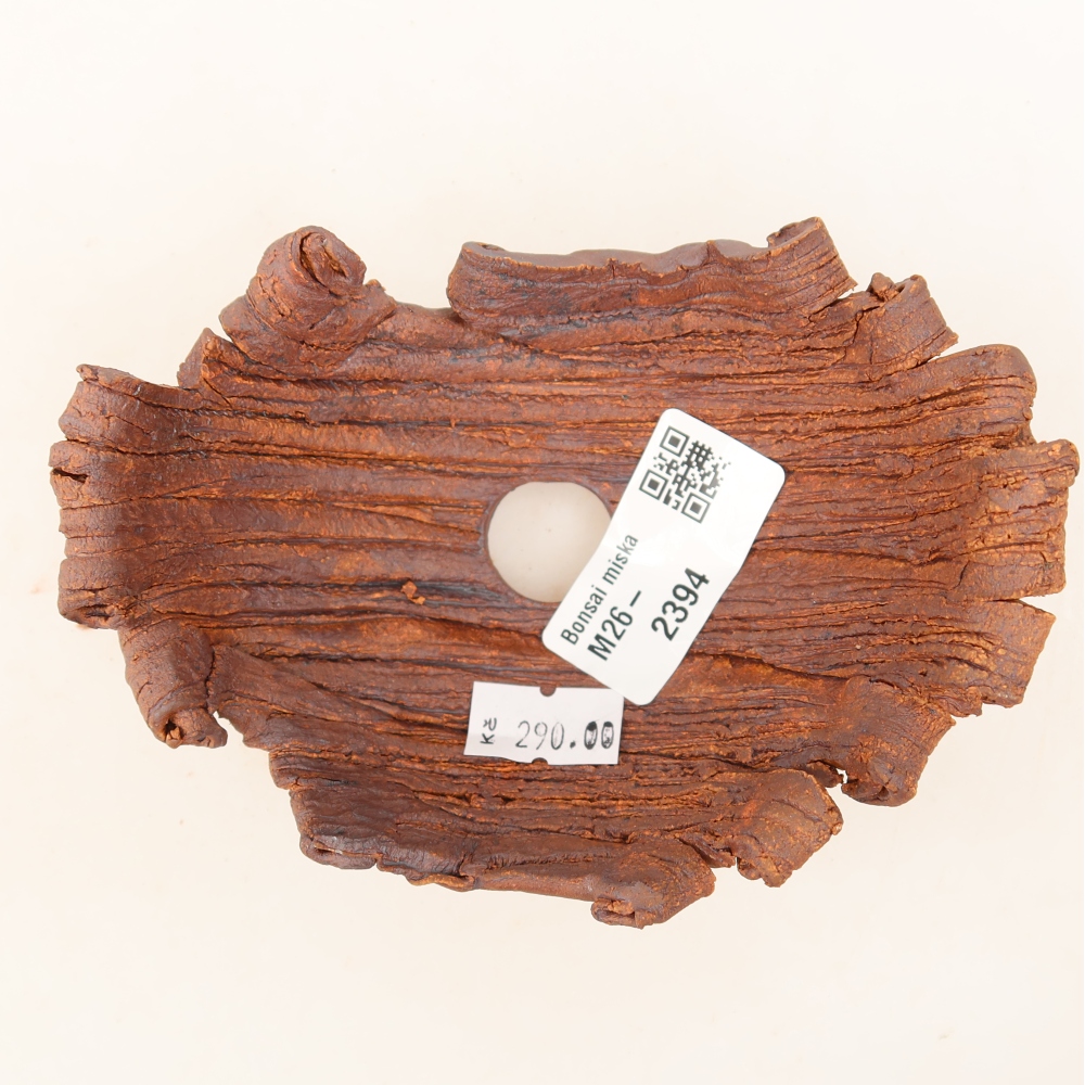 Ceramiczna skorupa  12 x 8,5 x 5,5 cm, kolor brązowy