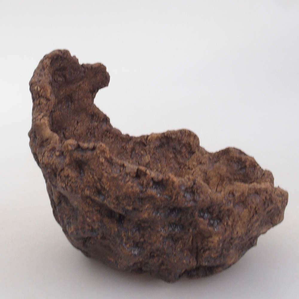 Muszla ceramiczna 9 x 9 x 9 cm, kolor brązowy