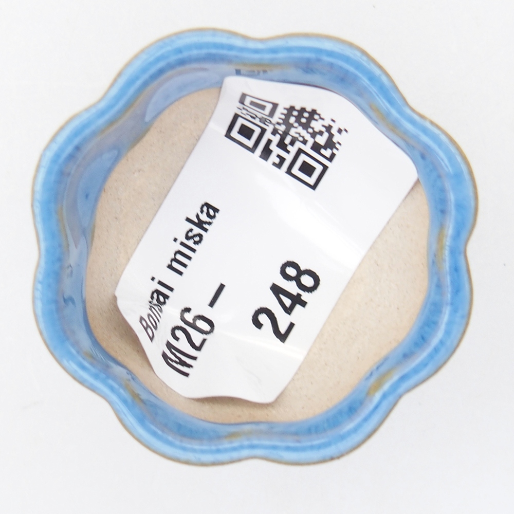 Mini miska do bonsai 4 x 4 x 2 cm, niebieska