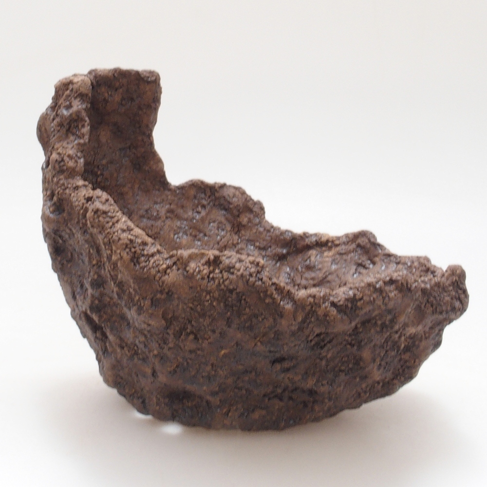 Muszla ceramiczna 13 x 11 x 12 cm, kolor brązowy