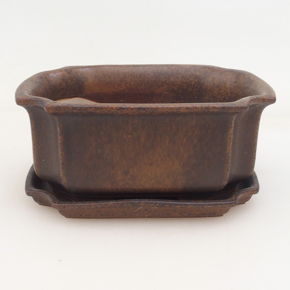 Bonsai bowl + spodek H01
