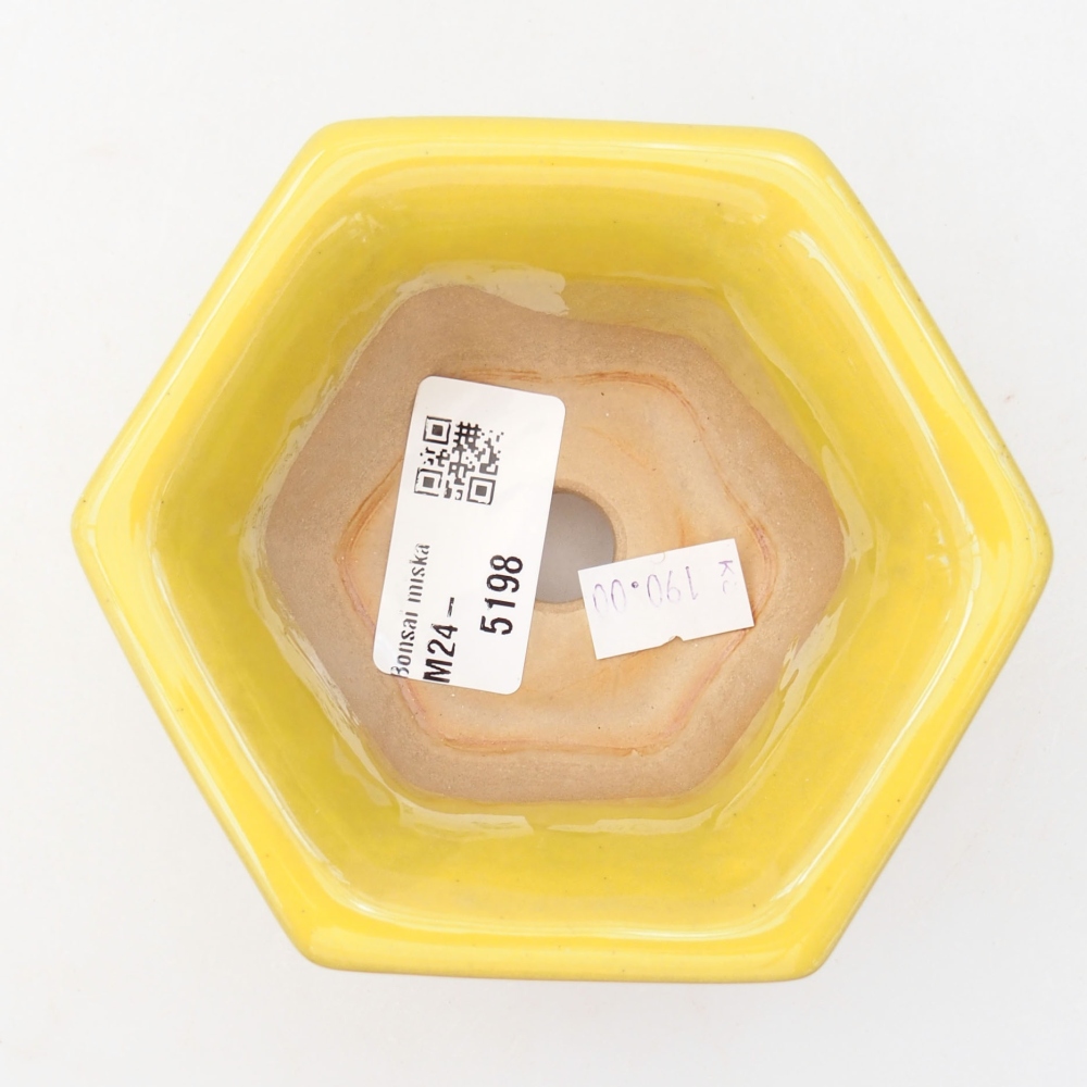 Ceramiczna miska bonsai 10,5 x 9,5 x 5,5 cm, kolor Żółty