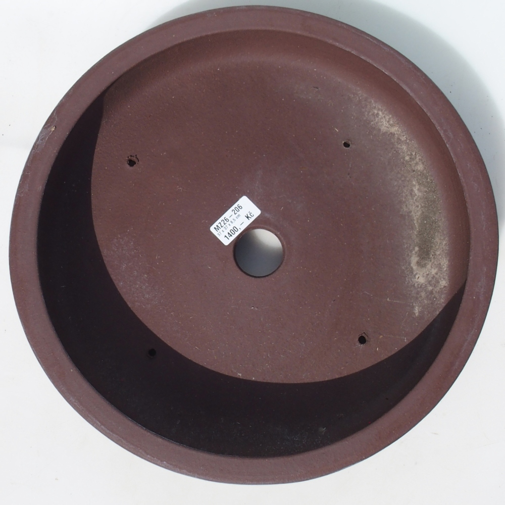 Misa bonsai 37 x 37 x 8,5 cm brzoza brązowa