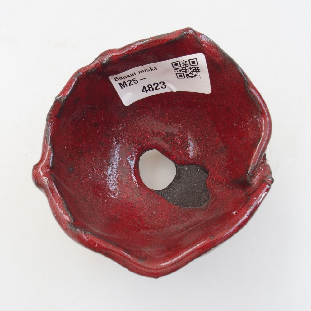 Muszla ceramiczna 8 x 8 x 6 cm, kolor czerwony