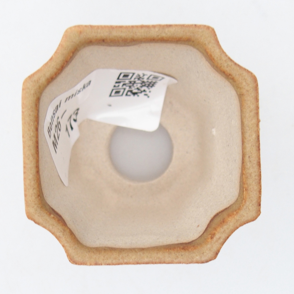 Mini miska do bonsai 4,5 x 4,5 x 4 cm, brązowa