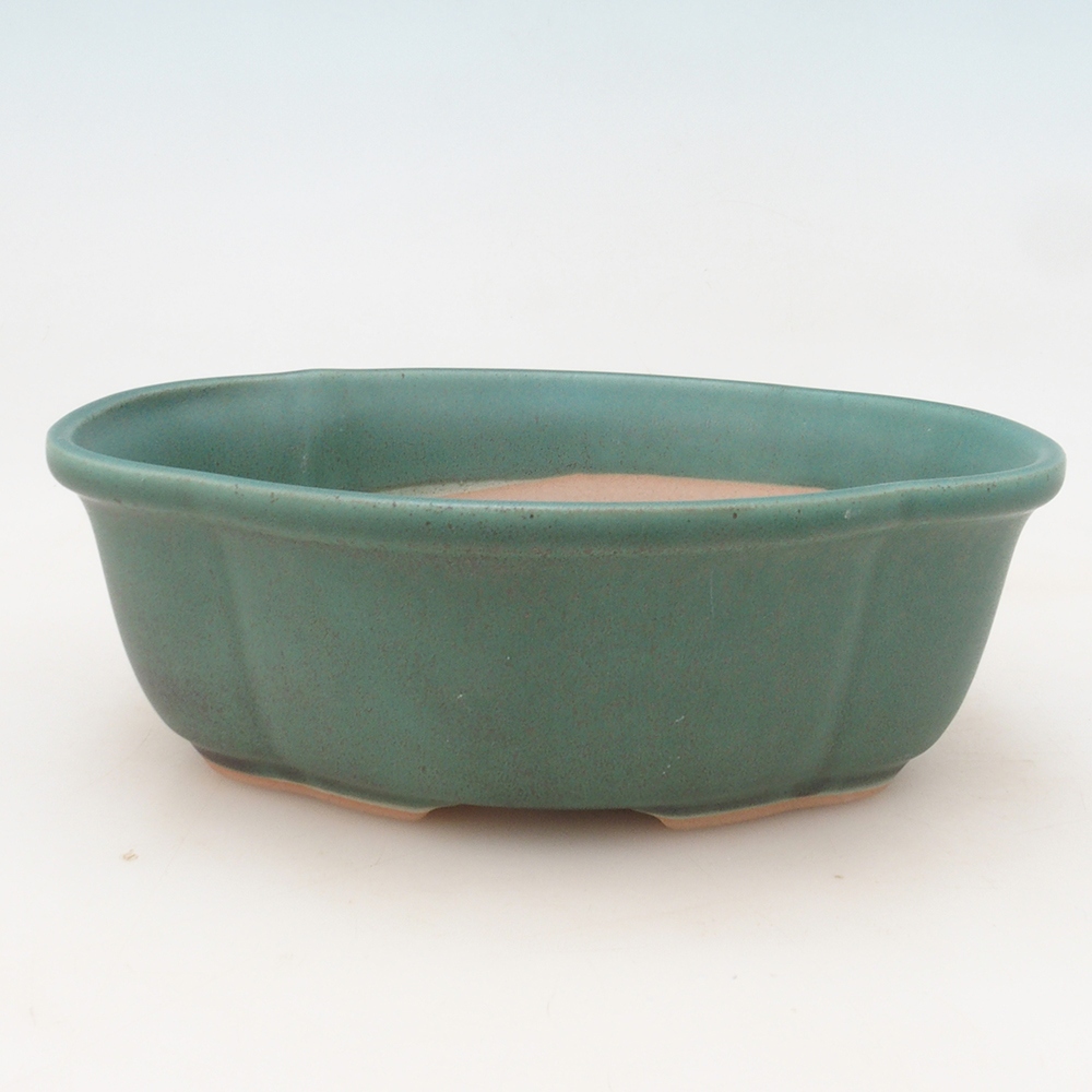 Miska bonsai H75 - 19 x 14 x 6,5 cm. - zielony