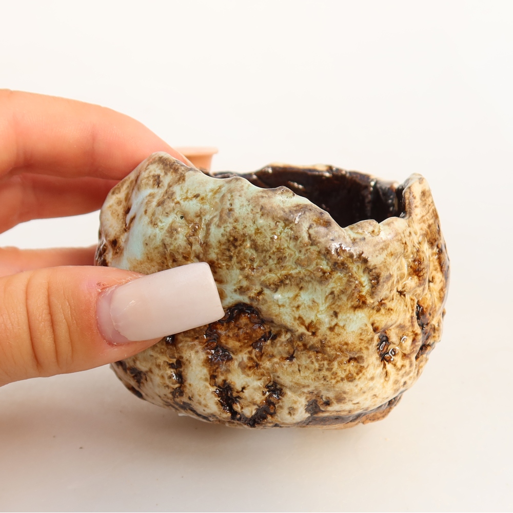 Ceramiczna skorupa  7,5 x 7 x 5,5 cm, kolor biało-brązowy
