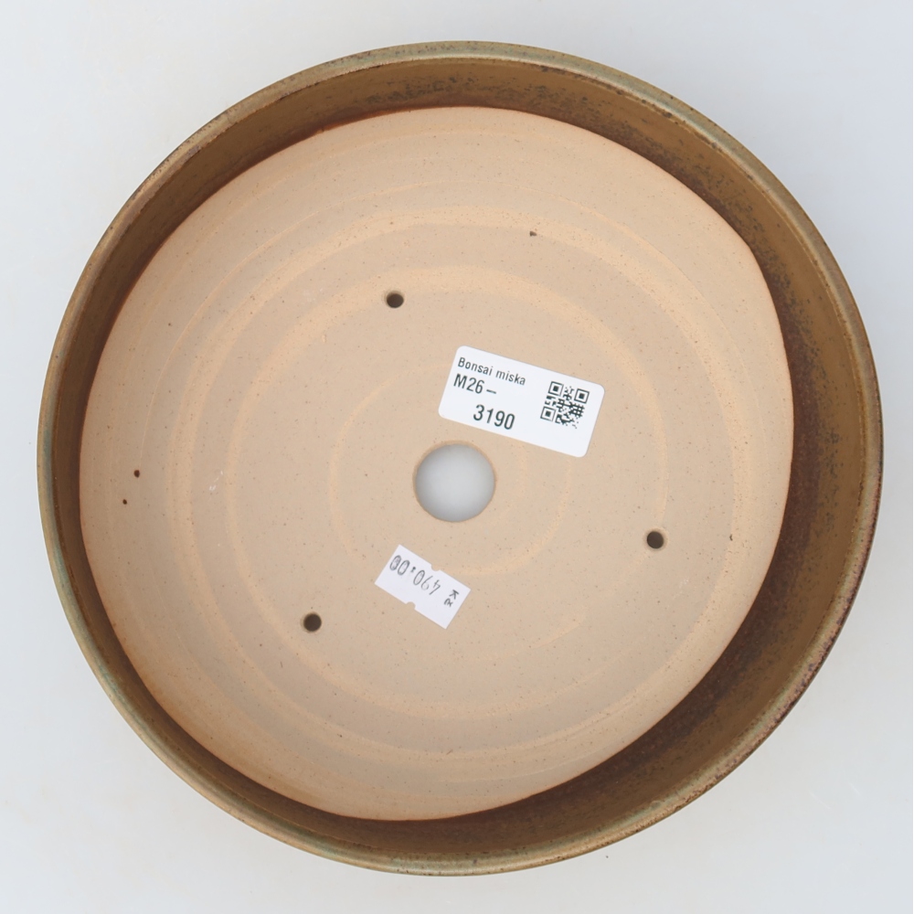 Ceramiczna miska do bonsai 19,5 x 19,5 x 6,5 cm, kolor brązowy