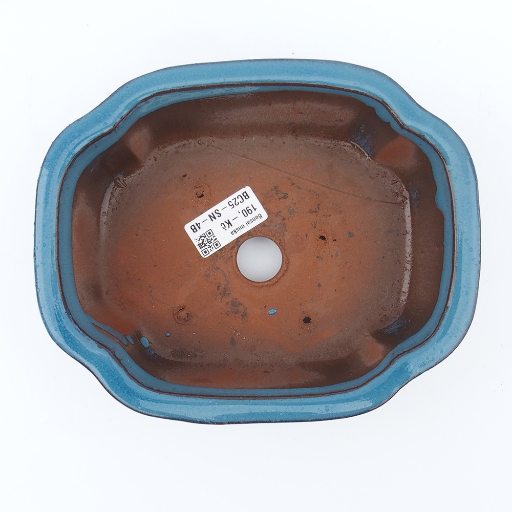 Miska 20 x 16 x 6,5 cm niebieska