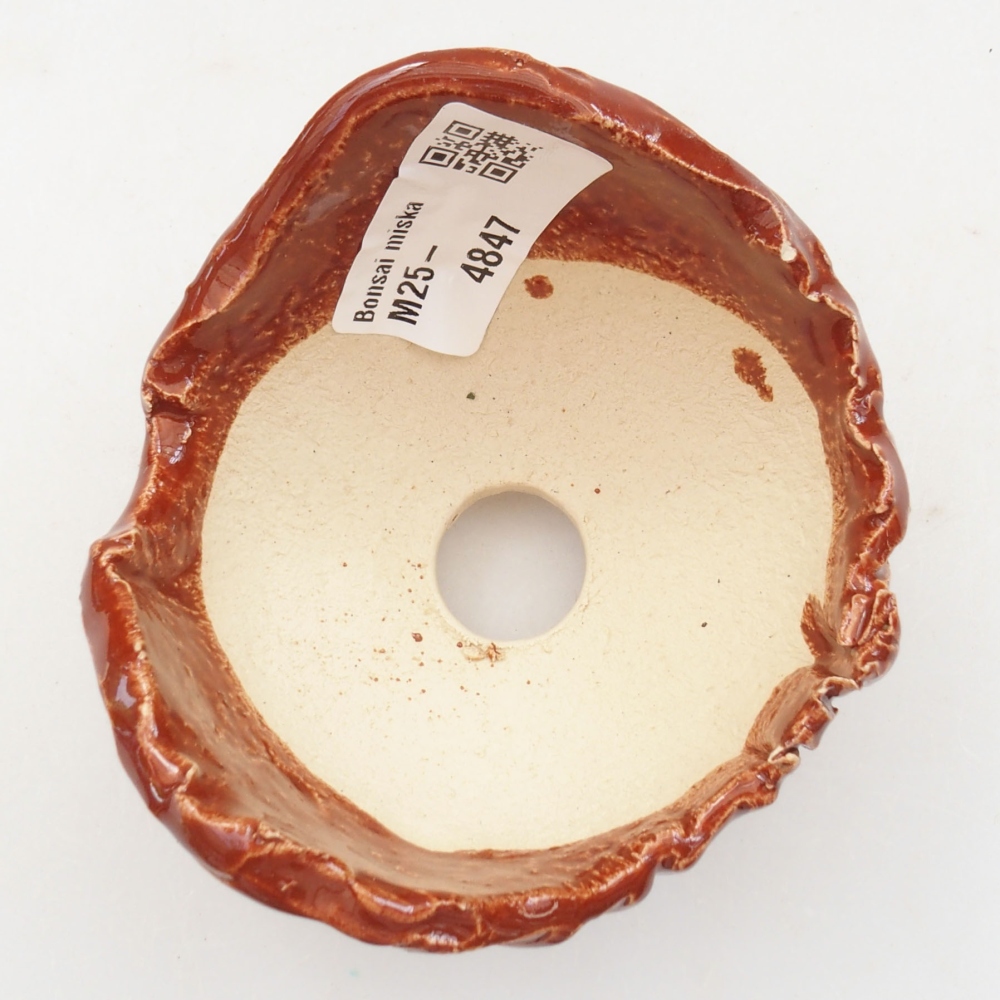 Muszla ceramiczna 7,5 x 7,5 x 6 cm, kolor brązowy