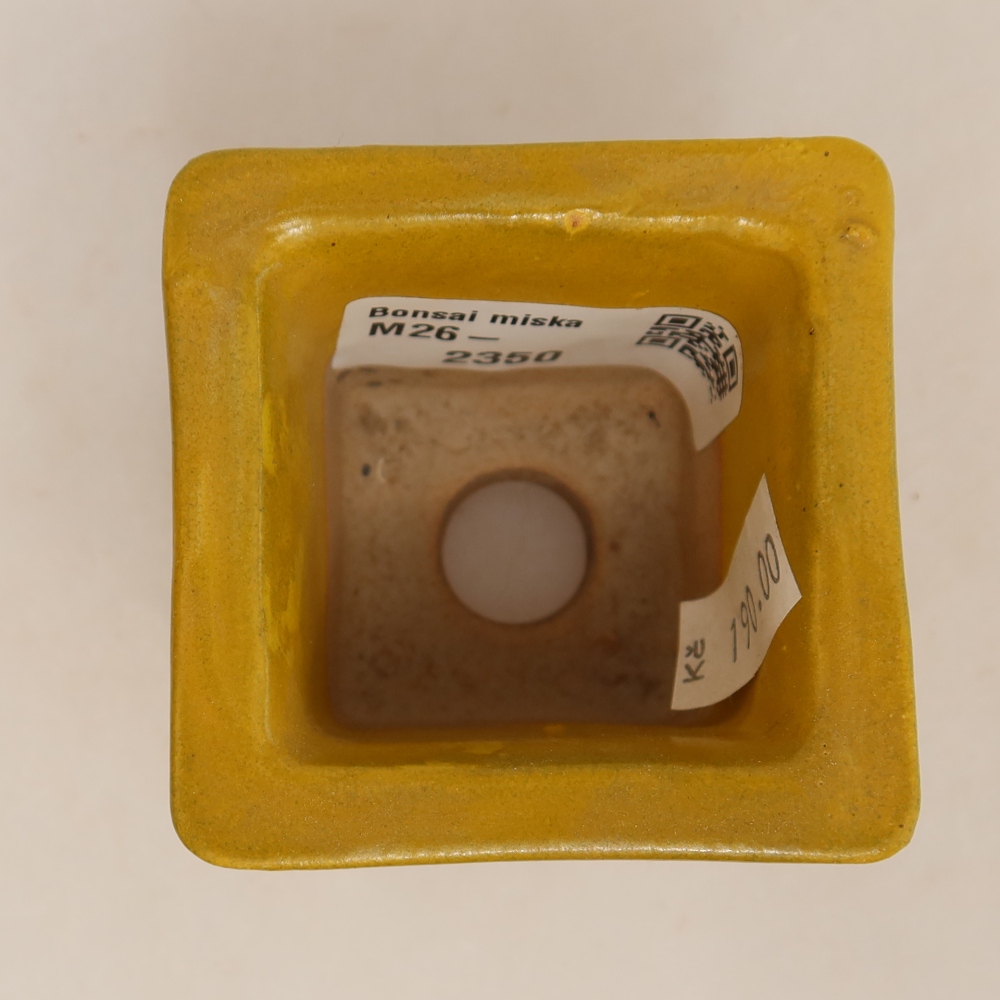 Ceramiczna miseczka do bonsai 6 x 6 x 5,5 cm, kolor żółty