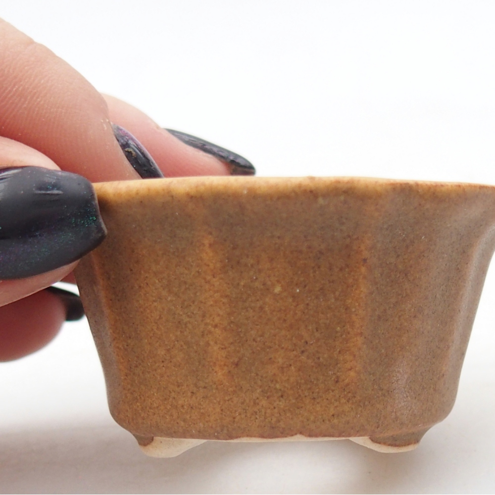 Mini miska do bonsai 5,5 x 5,5 x 3 cm, brązowa