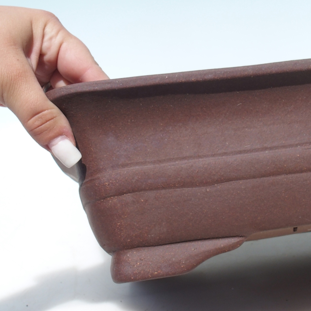 Misa bonsai 39 x 32 x 10,5 cm brzoza brązowa