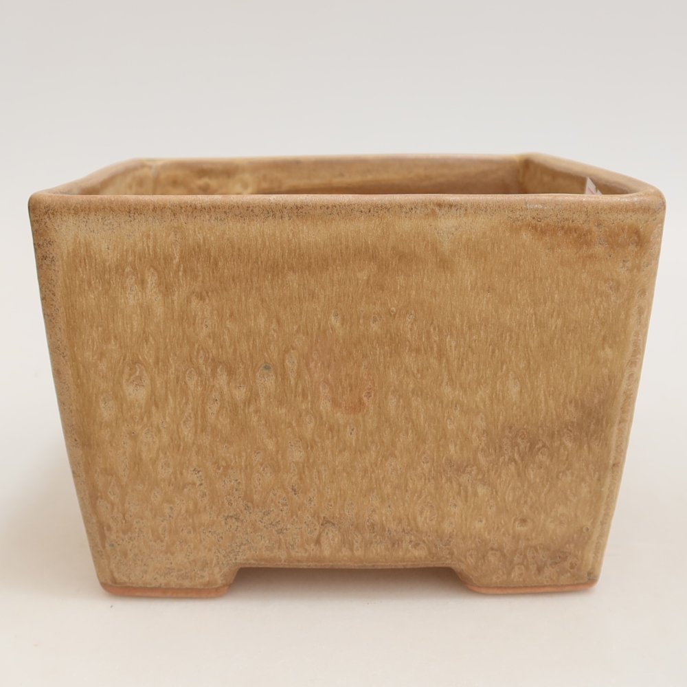 Ceramiczna miska do bonsai 15 x 15 x 10,5 cm, kolor beżowy