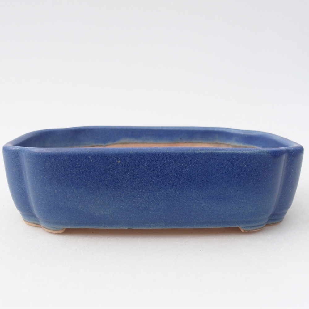 Ceramiczna miska do bonsai 16 x 11,5 x 4 cm, kolor niebieski