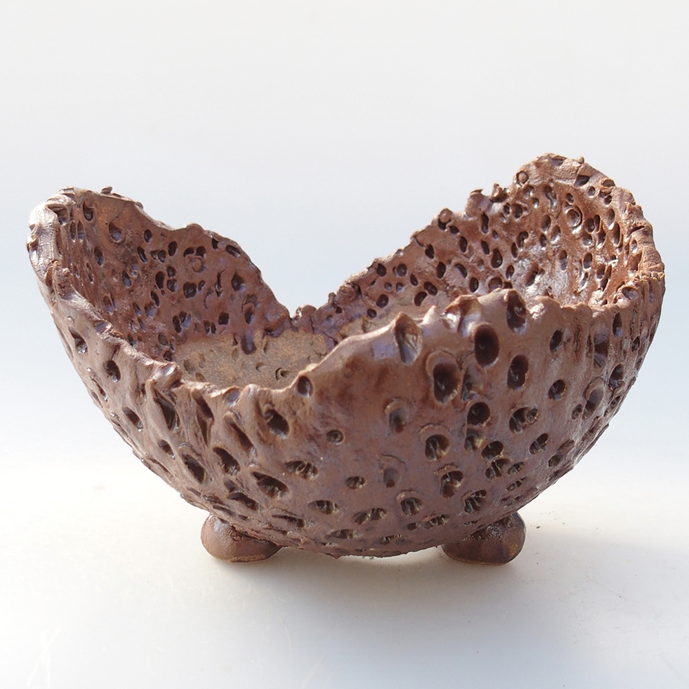 Ceramiczna muszla 12,5 x 12,5 x 9 cm, kolor brązowy