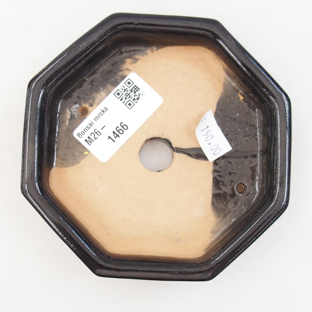 Ceramiczna miska do bonsai 11,5 x 11,5 x 2 cm, kolor czarny