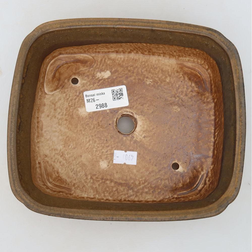 Ceramiczna miska do bonsai 20 x 17,5 x 6 cm, kolor brązowy