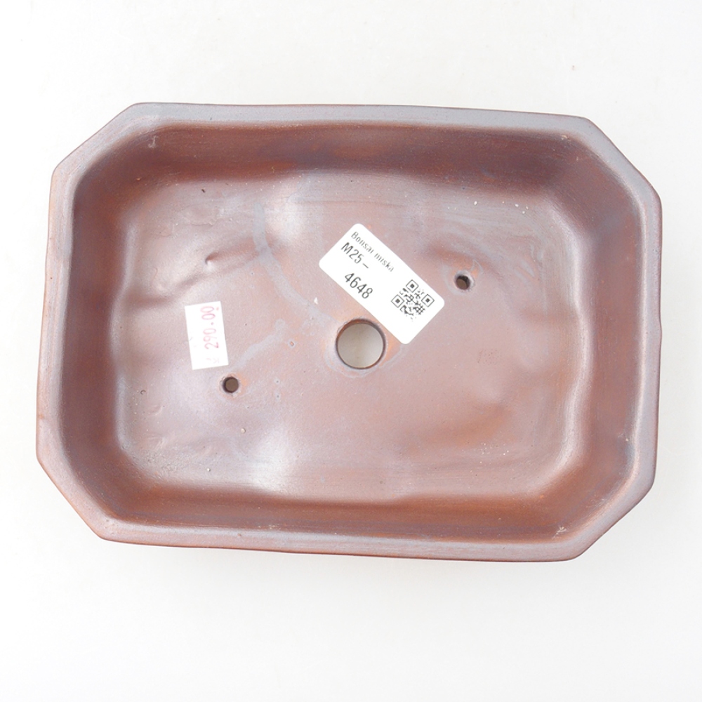 Ceramiczna miska bonsai 18 x 13,5 x 5 cm, kolor brązowy