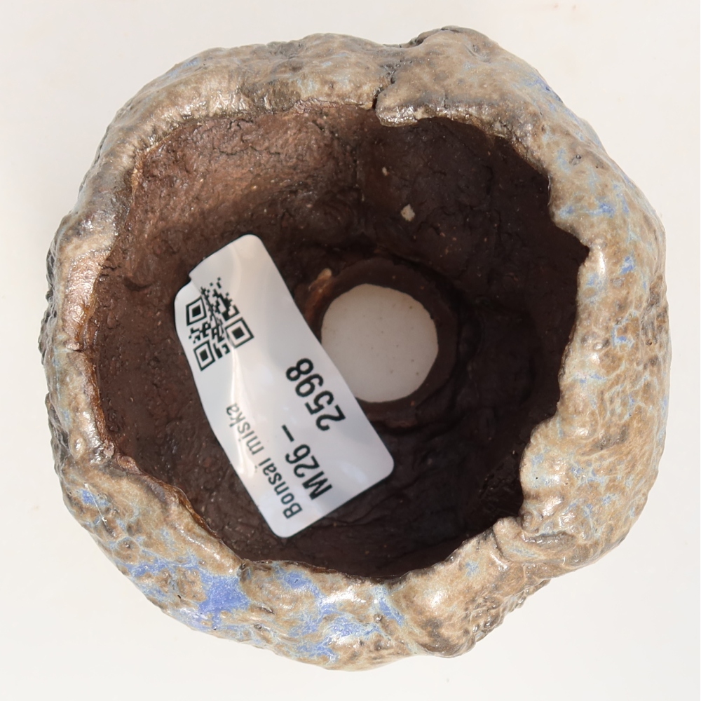 Ceramiczna skorupa  7 x 7 x 6 cm, kolor niebiesko-brązowy