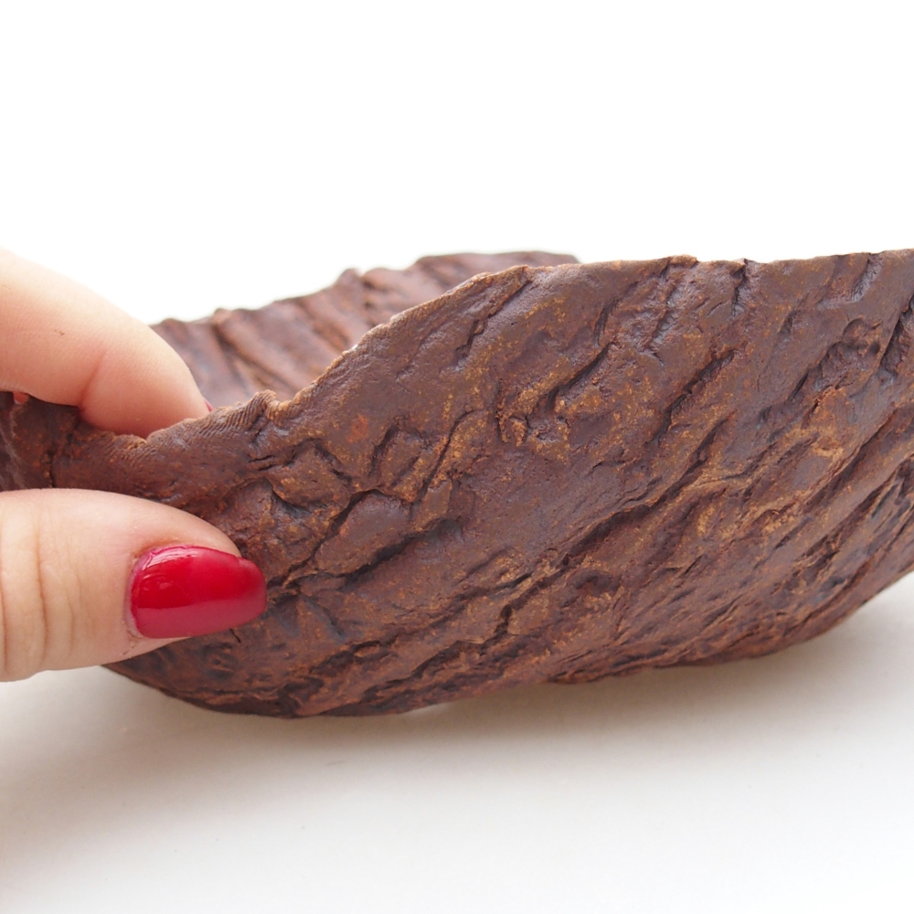 Ceramiczna muszla 18,5 x 17,5 x 6 cm, kolor brązowy