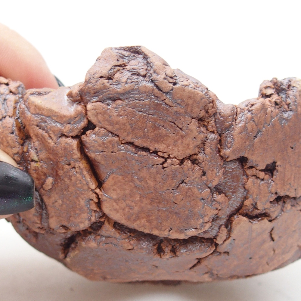 Muszla ceramiczna 9 x 9 x 5,5 cm, kolor brązowy