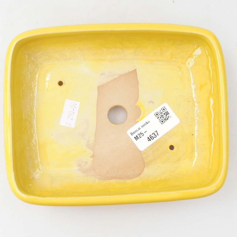 Ceramiczna miska bonsai 17 x 13,5 x 3,5 cm, kolor żółty
