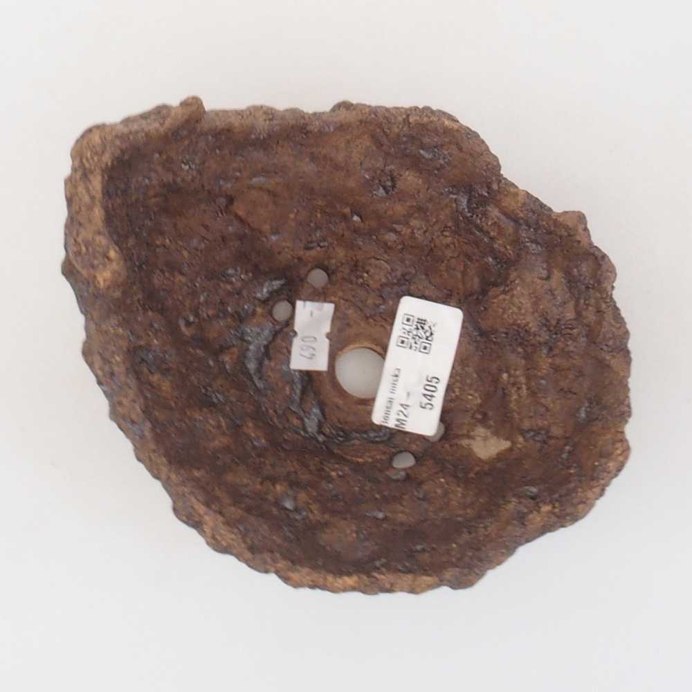 Muszla ceramiczna 13,5 x 12 x 13,5 cm, kolor brązowy