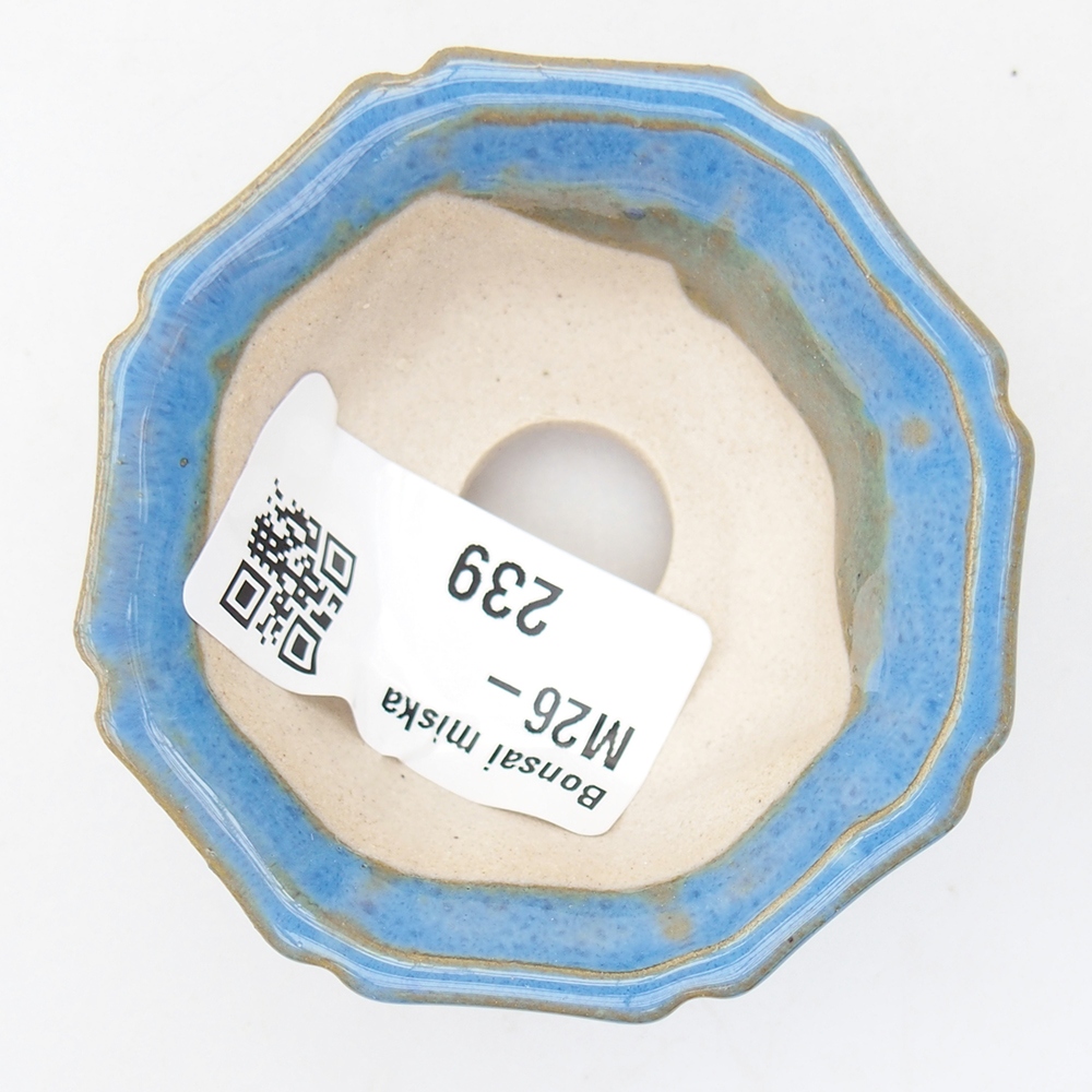 Mini miska do bonsai 6 x 6 x 2,5 cm, kolor niebieski