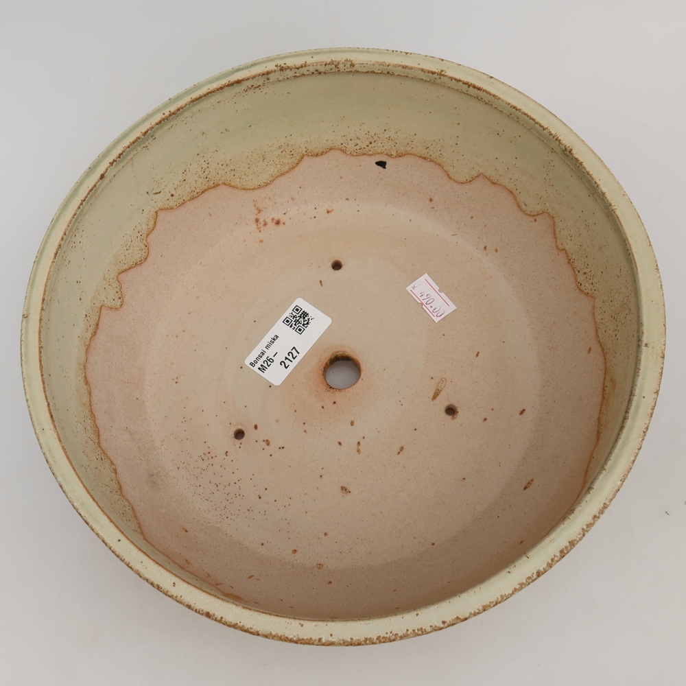 Ceramiczna miska do bonsai 24,5 x 24,5 x 7,5 cm, kolor zielony