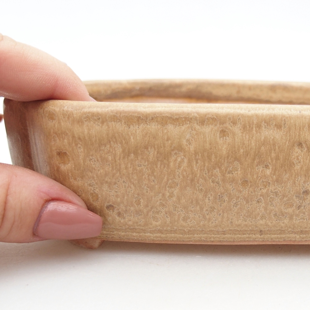 Ceramiczna miska do bonsai 15,5 x 11,5 x 4 cm, kolor beżowy
