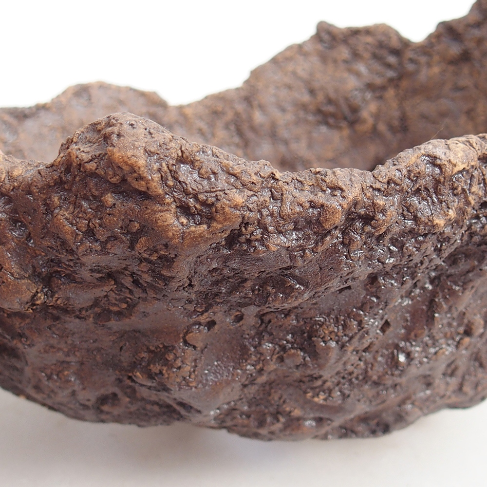 Ceramiczna skorupa 19 x 15 x 14 cm, kolor brązowy