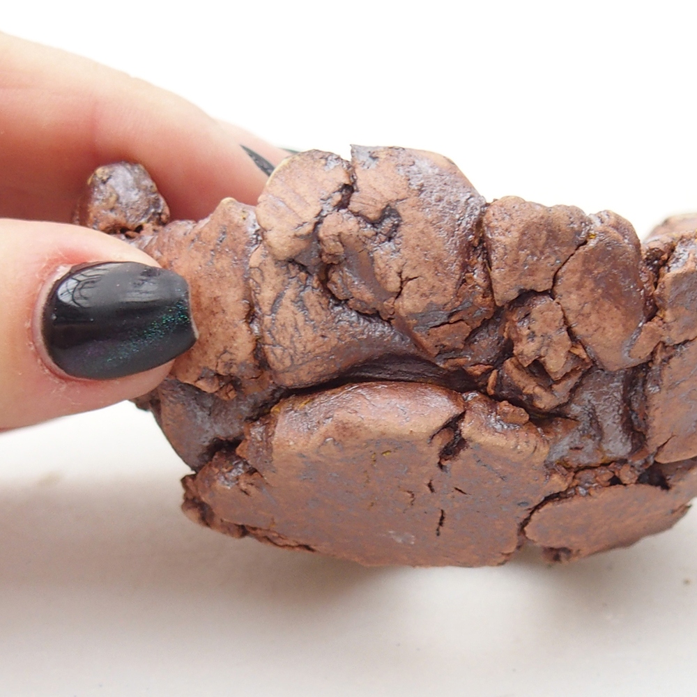 Muszla ceramiczna 9 x 9 x 4,5 cm, kolor brązowy