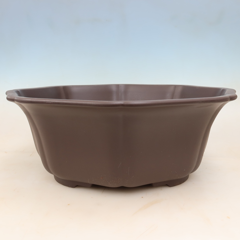 Plastikowa miska do bonsai MP-32, brązowa – 49 x 47 x 17 cm